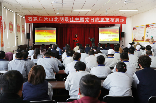 石家庄常山北明最佳主题党日活动成果展示